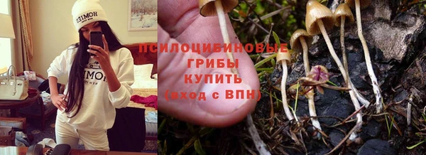 МДМА Новодвинск