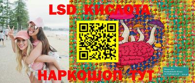 гидропоника Дубна