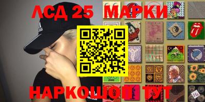 гидропоника Дубна