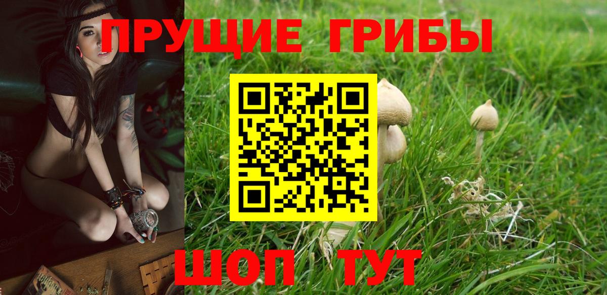 Галлюциногенные грибы Magic Shrooms Конаково